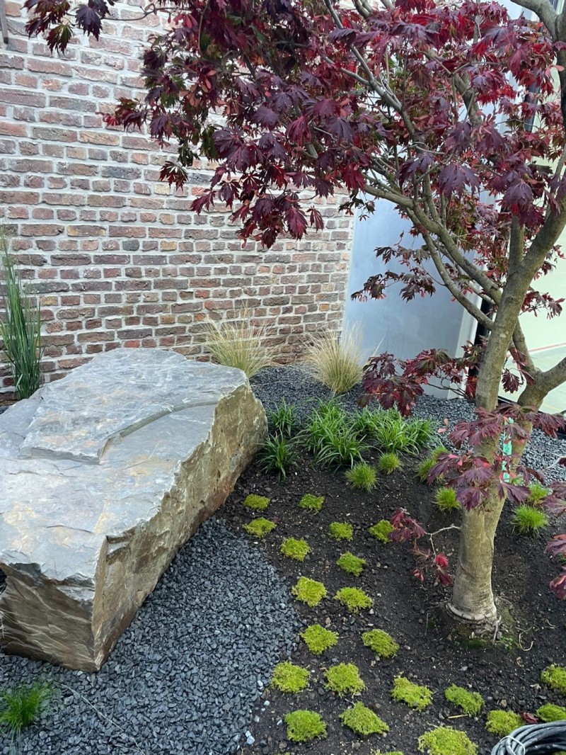 Garten-Landschaftsbau